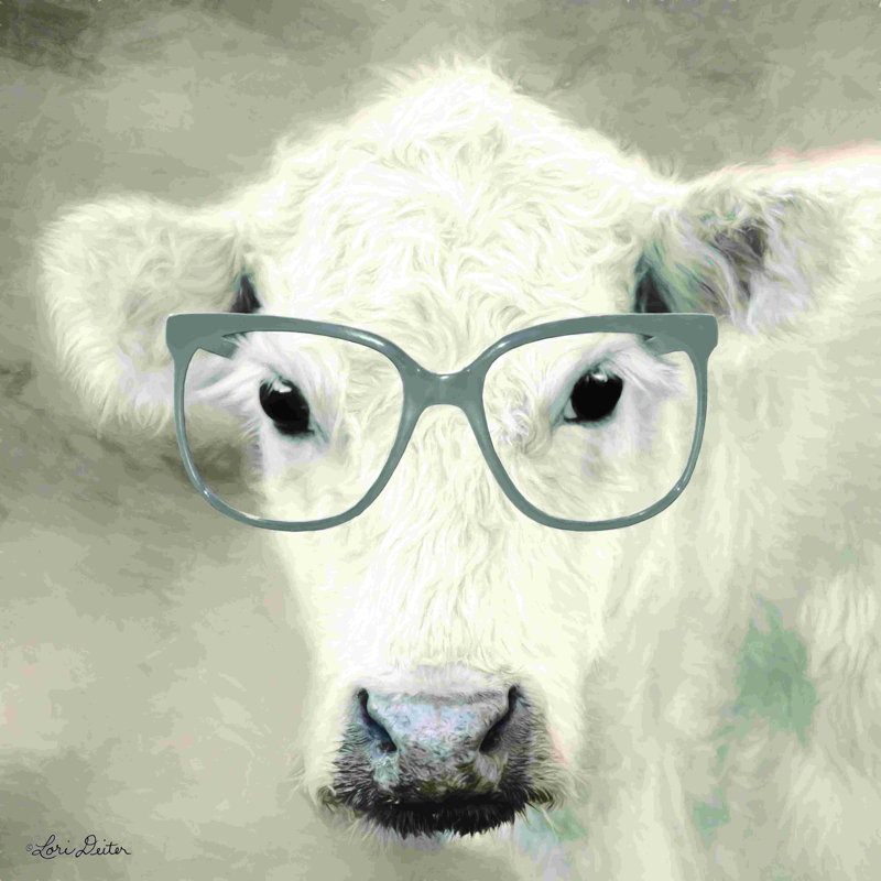 «See Clearly Cow» - peinture, H 12 po x l 12 po, Toile tendue