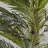 Faux Palm Tree in Pot-23578230