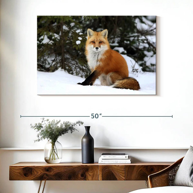 Renard roux d'hiver, H 26 po x l 39 po