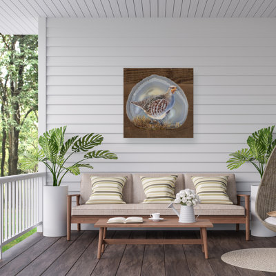 Jeff Hoff Hungarian Outdoor  Canvas