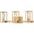3 - Light Dimmable Vanity Light