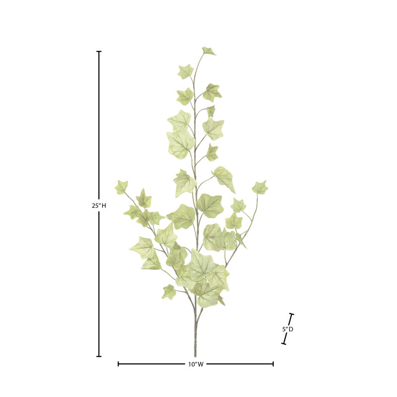 Vaporisateur 25 po citron vert lime anglais 25 po 
