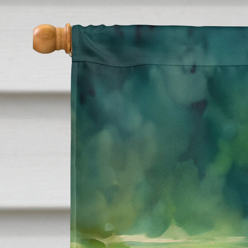 Double Sided 40'' H x 28'' W Polyester House Flag