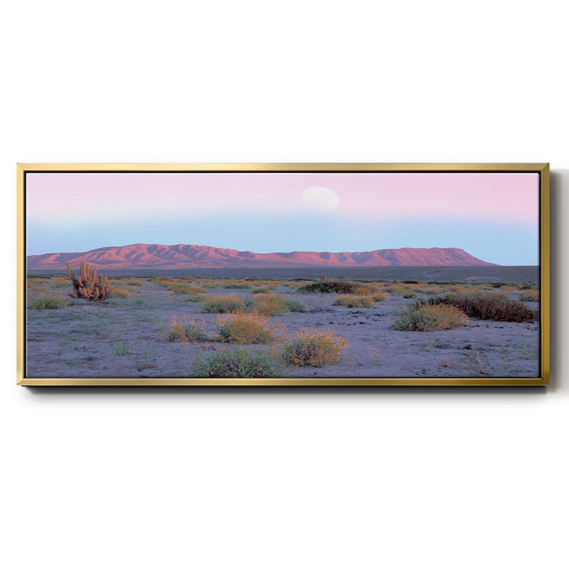 «Vallenar Atacama Desert», toile encadrée, H 8 po x l 20 po