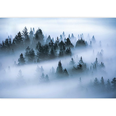 Misty Foggy Pine Tree Forest Canopy 96' L x 66" W Wall Mural
