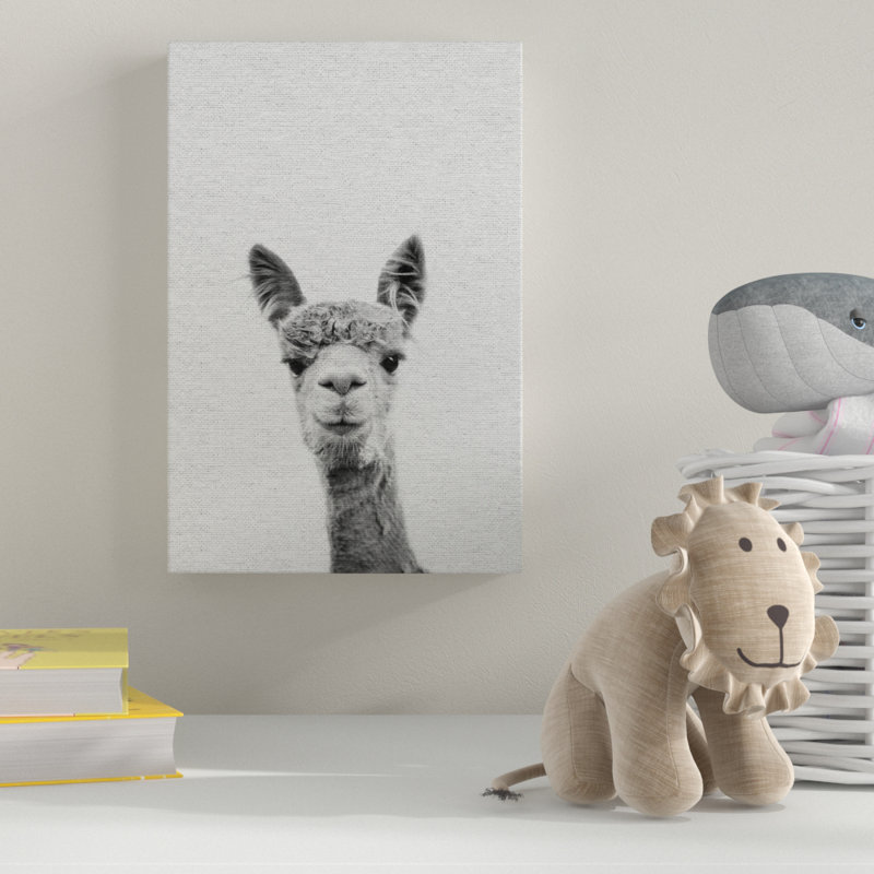 Llama Face III - Drawing on Canvas, 30cm H x 20cm W