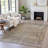 Machine Washable Indoor/Outdoor Xhevrie Brown Rug-112168410