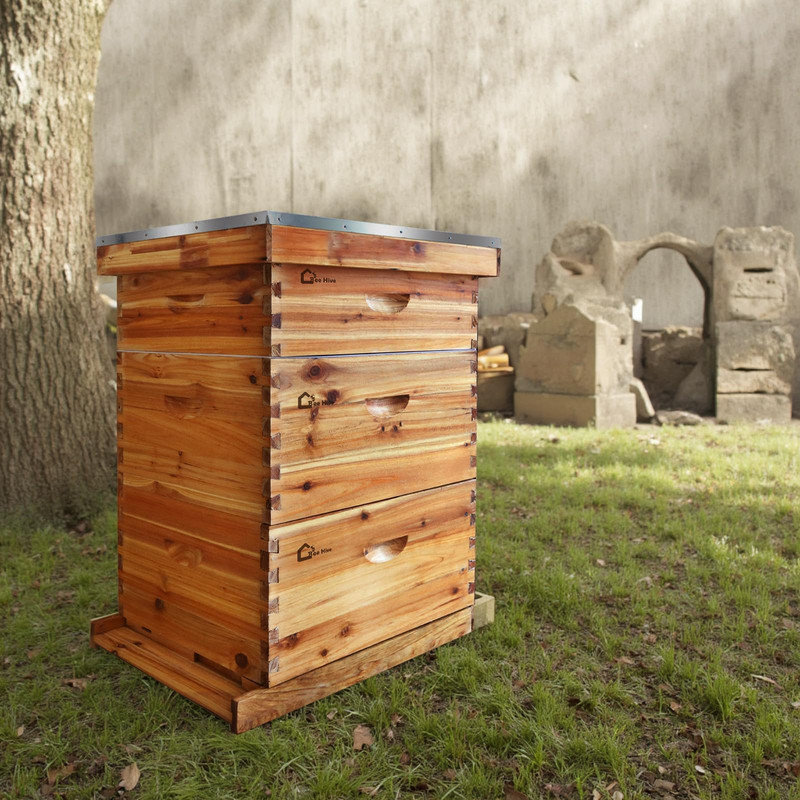 Ensemble complet de ruche Langstroth à 10 cadres - bois de cèdre, enduit de cire d'abeille, avec 2 boîtes à couvée profonde et 1 super moyen
