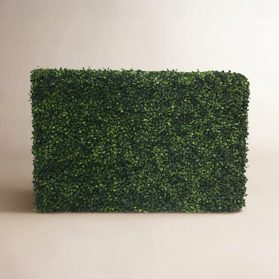 Boxwood Hedge with Base Included