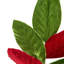Ensemble de 12 vaporisateurs de feuilles de magnolia 23,5 po - vert / rouge