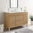 Render 48" Single Sink Bathroom Vanity-48362832