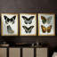 Papillons bleus antiques I - Toile tendue avec châssis sur mesure - 3 pièces-1288978023-1288978016
