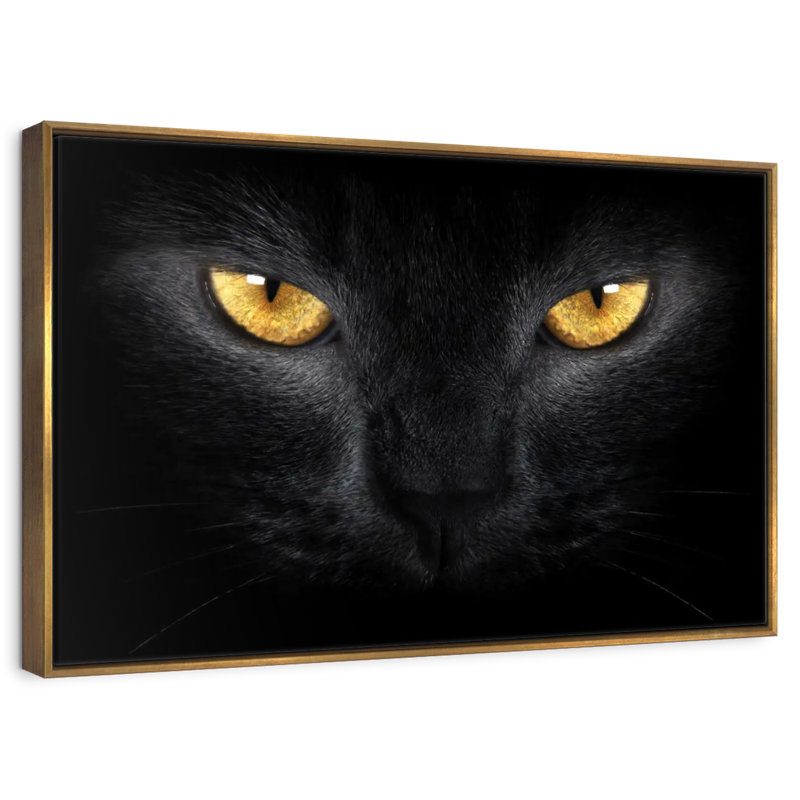 Chat aux yeux jaunes, 46 po x 31 po, Cadre flottant doré