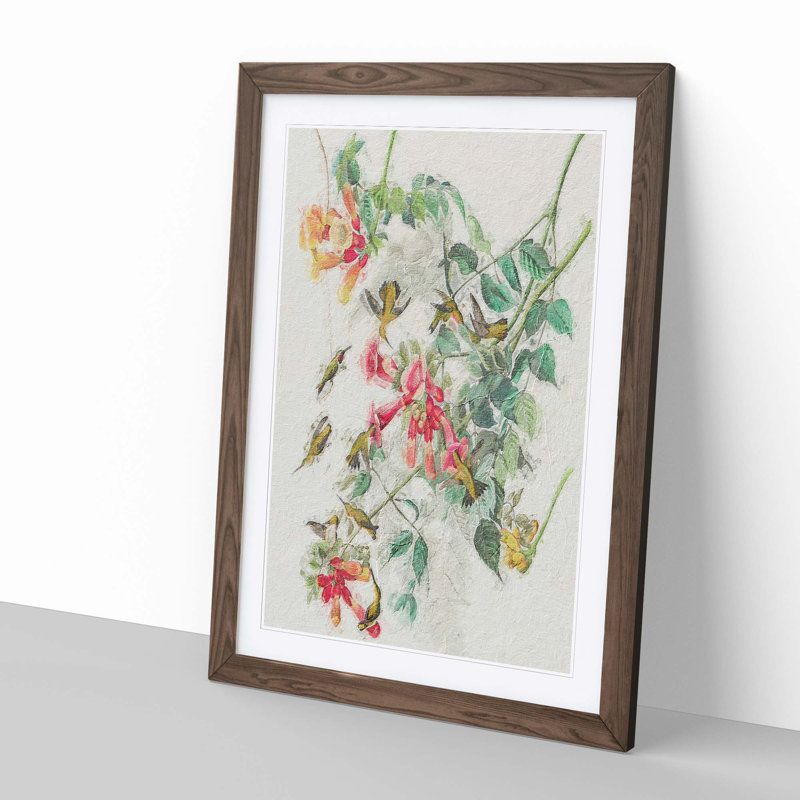 Ruby-Throated Hummingbirds by John James Audubon - Picture Frame Painting Print, 60cm H x 40cm W x 2cm D, Walnut