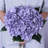 Laidley Hydrangea Arrangement-1269178872