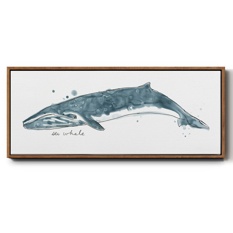 Whale I- Framed Canvas