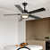 Ehrin 51.96'' Ceiling Fan with LED Lights