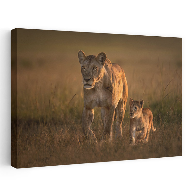 Golden Savanna Lion Family Contemporary Cat Lion Nature Sunset Wall Art Print, 40.64cm H x 60.96cm W