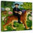 Abarca Henri Rousseau's Dream