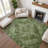 Premium Machine Washable Lubbers AMF1761 Border Rug-205013015