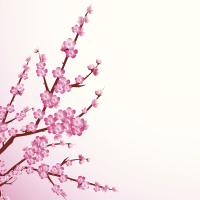 " Cherry Blossoms " by Yu-La