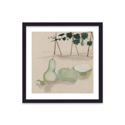 Vintage Japanese Vegetable Squash 1 by Vouvart - Single Picture Frame Painting