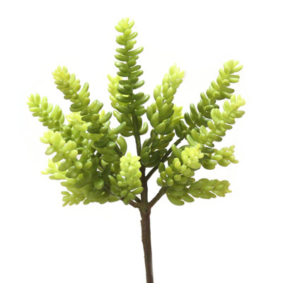 Plante grasse 8 po (vert)