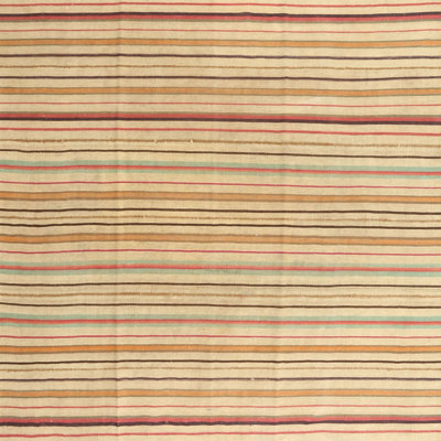Indoor Rug
