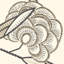 Schumacher x Neisha Crosland Jacob'S Tree Wallpaper-43916458