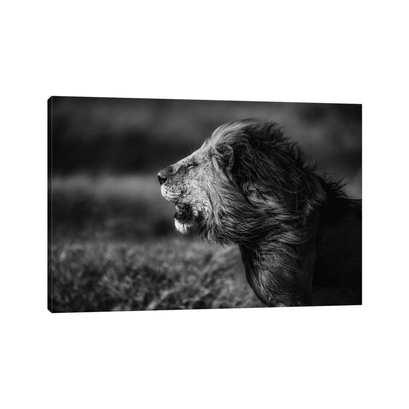 Breeze by Mohammed Alnaser - Wrapped Canvas Print, 20.32 cm H x 30.48 cm W