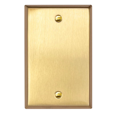 Plaques murales à bascule Rio Salto BRASS Signature Collection, format moyen 3,125 po x 4,94 po, plaque d'interrupteur en métal à 1 poste, plaques murales décoratives, plaques murales haut de gamme