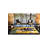 Dog Animal Colorful Modern Patterned Washable Carpet-1384780297