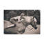 « off to the courses cheval », reproduction de photo sur toile tendue-29763933