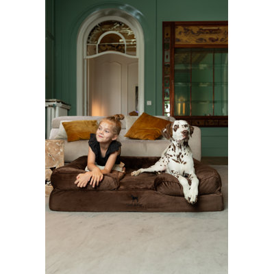 Noah & Paw Giant Dog Bed XXL,  Orthopedic Dog Beds, Eggshell Memory Foam Infused with Cooling Gel, Inner Cover, Waterproof, Machine Washable (Velvet Sofa Collection)