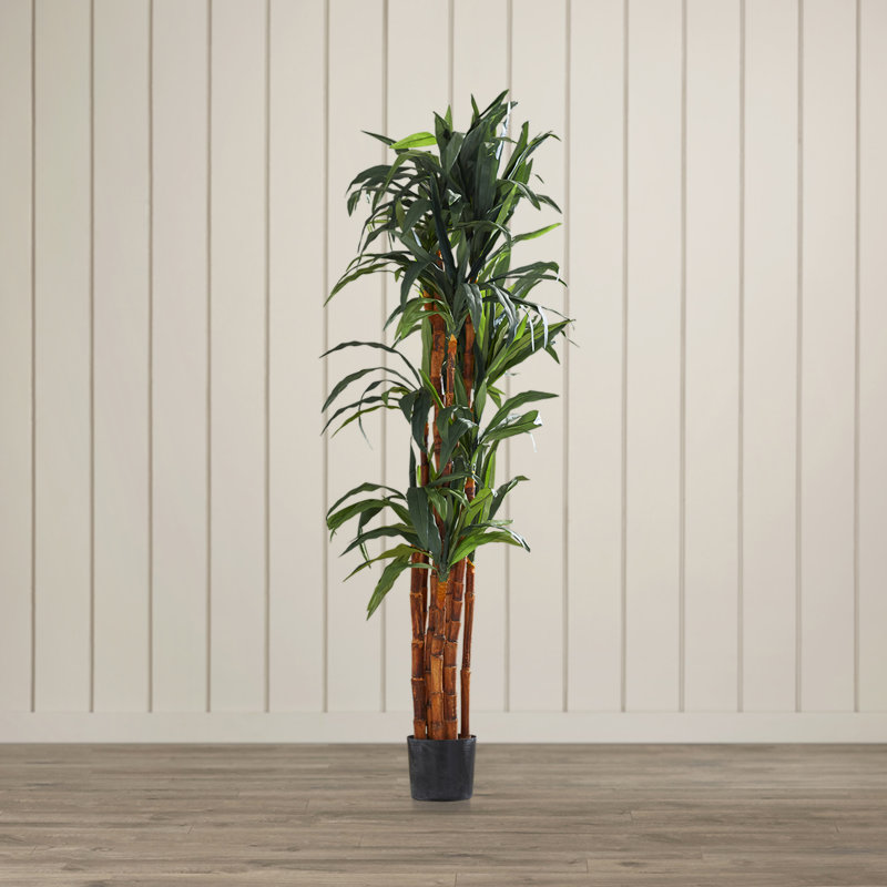 78'' Faux Dracaena Tree in Planter