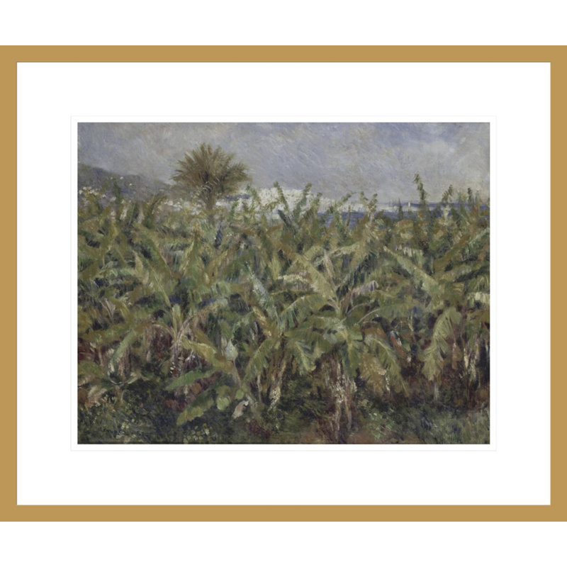 Champ de bananiers - Pierre-Auguste Renoir - Impression giclée sur cadre, H 17,75 po x l 21,11 po