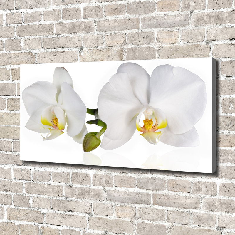 Orchid - Wrapped Canvas Print