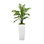 Ridgewood Faux Fern Tree in Fiberstone Planter