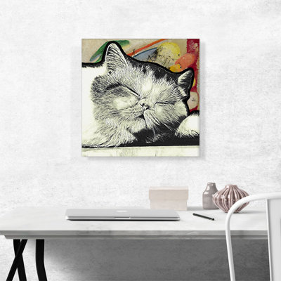 Exotic Shorthair Cat Breed Sleeping - Reproduction d'art sur toile tendue