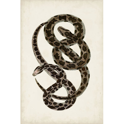 Antique Snakes V - Art Prints