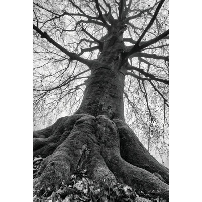 The Giant I