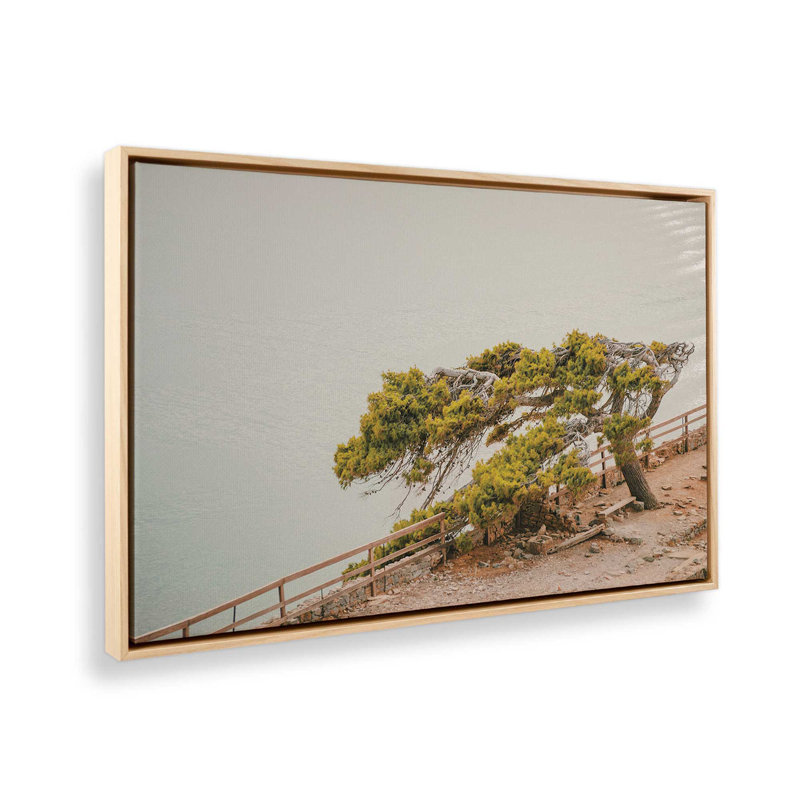 Impression sur toile Windswept Beauty, Érable américain encadré, H 32,75 po x l 48,75 po x P 1,75 po
