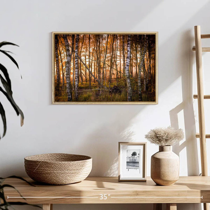 Forêt de bouleaux sombre, 19 po x 13 po, Cadre flottant en bois naturel