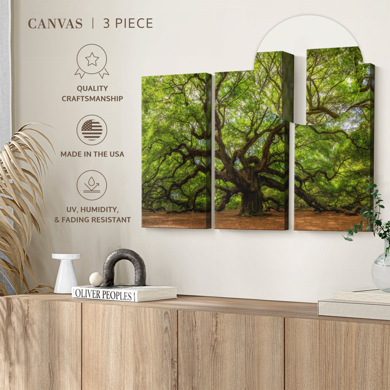 Nature 3 - Pieces, 20" H x 33" W x 1.25" D