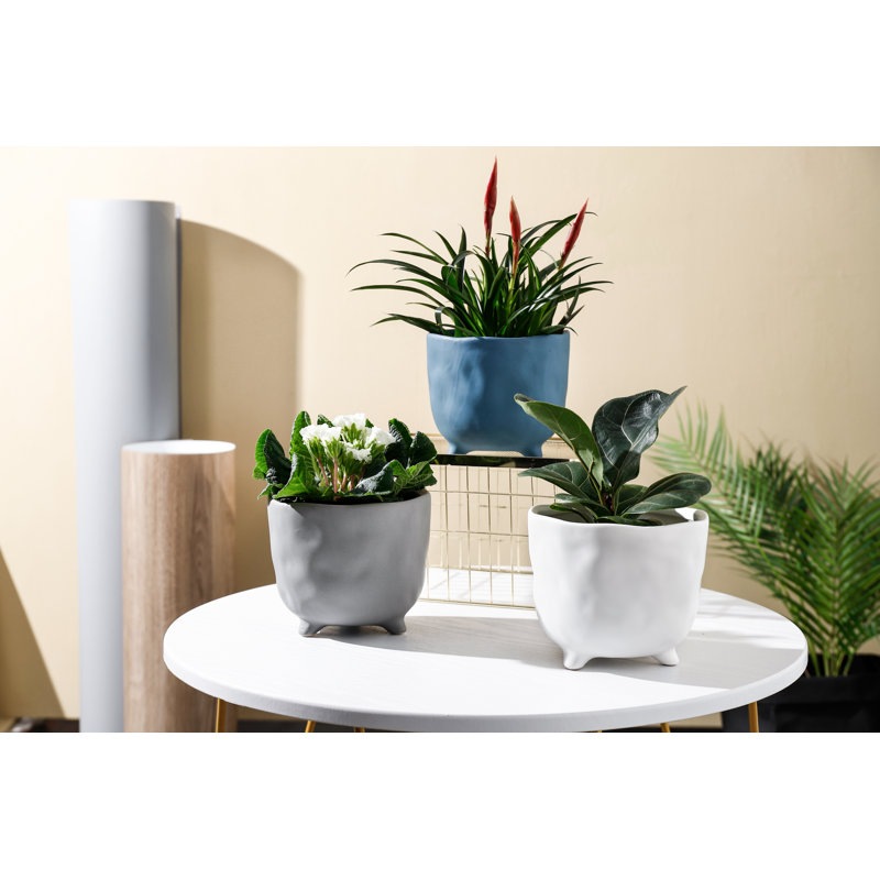 Jardinières 6 po Winda - Gris clair mat, Gris clair mat