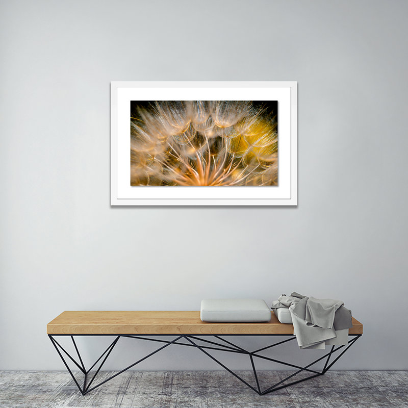 Float Away Print by Geoffrey Baris, 30" H x 48" W x 2.5" D, White