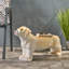Banc d'extérieur MGO DOG Bench, aucun assemblage requis-851883602