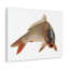 No Frame Print on Canvas-1339738928