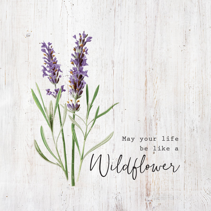 Lavendar Wildflower - Wrapped Canvas Print, 76cm H x 76cm W x 3.8cm D