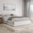  Lamariah Solid Wood Platform Bed with Matching Trundle-1461921420-1461921410